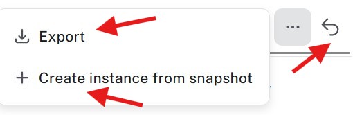 Snapshot actions menu